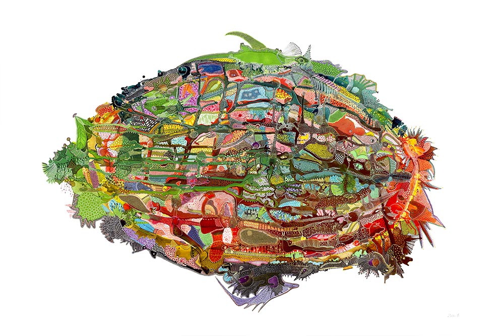 Red Bird - Open Edition